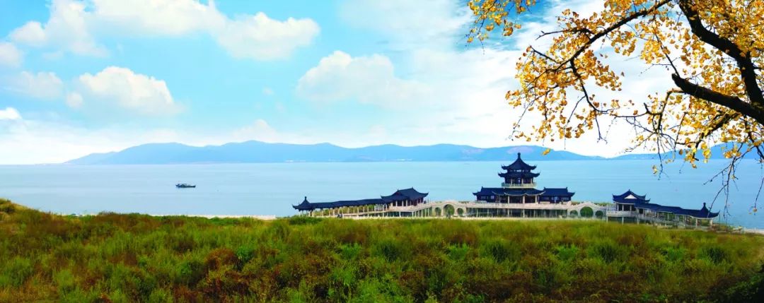 大拈花湾项目,岳飞文化园……千年古银杏的家乡周铁,"桥头堡"呼之欲出