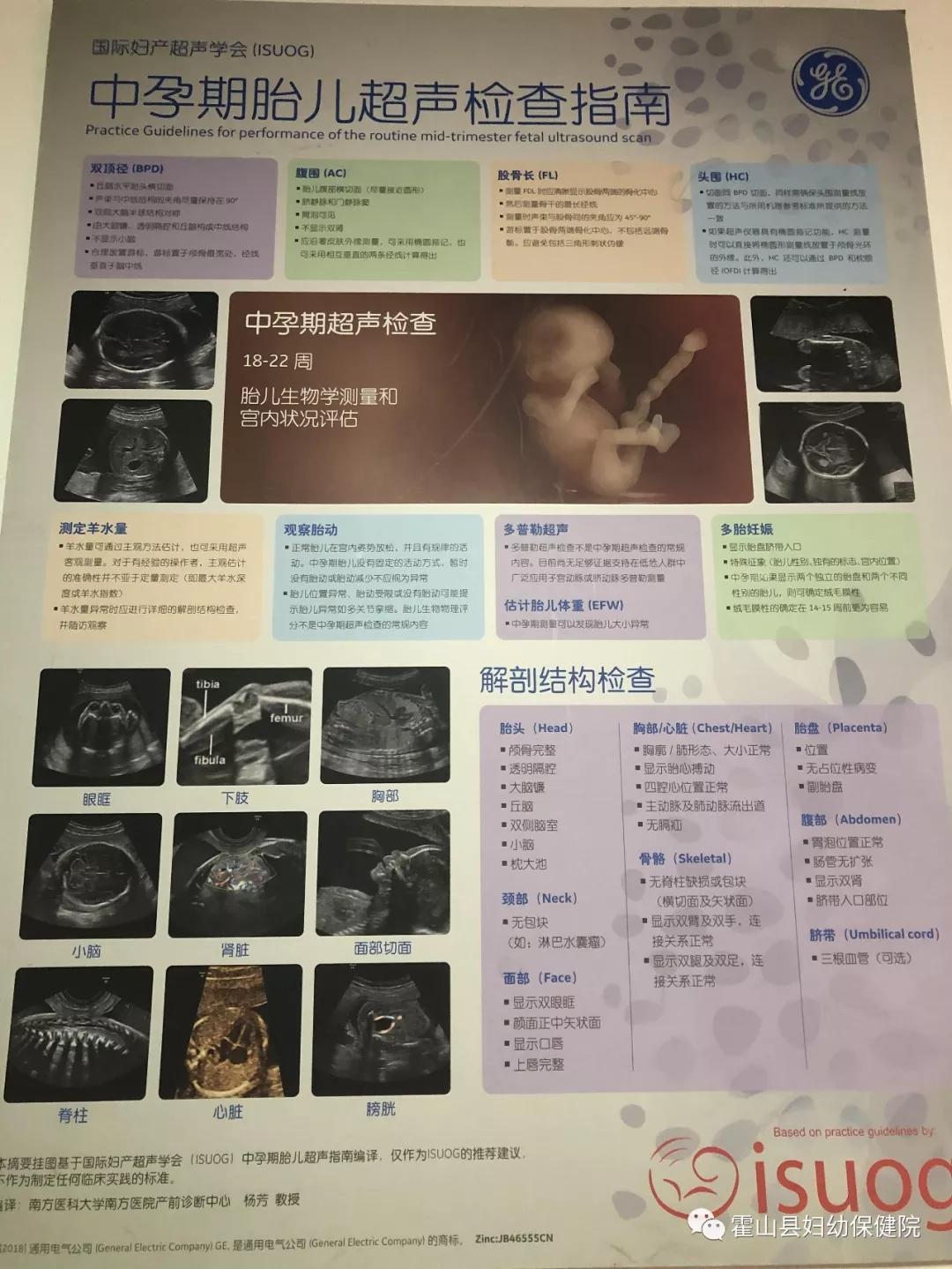 多角度地觀察宮內胎兒的生長發育情況,為早期診斷胎兒先天性體表畸形