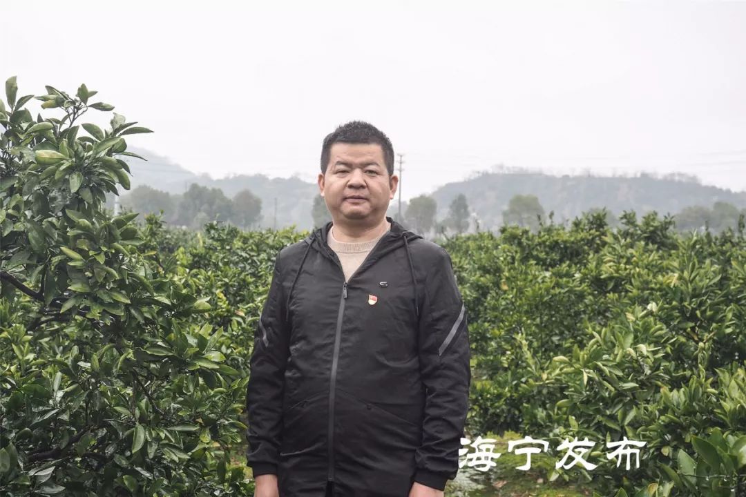 最美退役军人海宁46岁村支书有办法村民收入大幅上涨