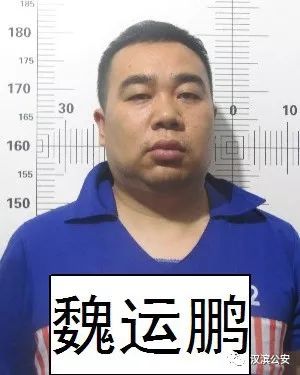最高奖20万安康警方再次征集来宝卫魏运鹏等人违法犯罪线索959扩散