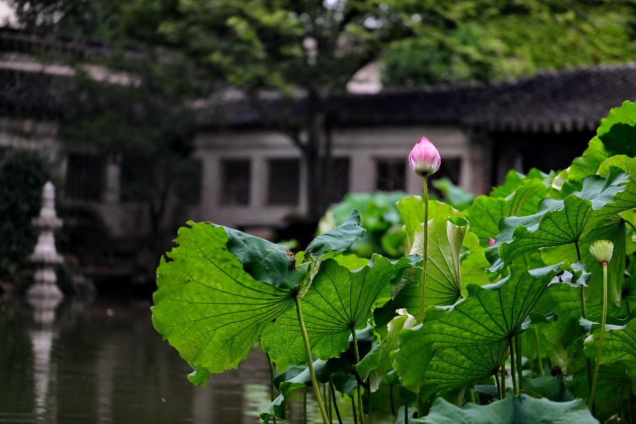 隨意而雅的古人日常_生活