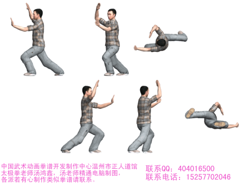 起式2,左右野马分鬃3,白鹤亮翅4,左右搂膝拗步15,左右搂膝拗步26,手挥