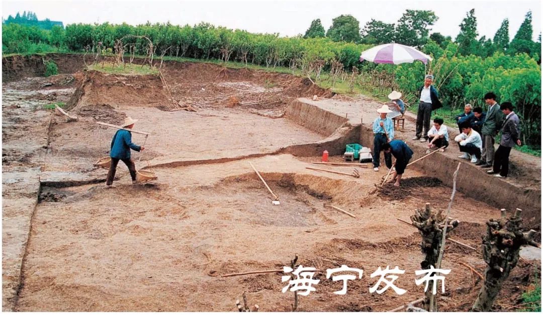30处海宁良渚文化遗址惊艳亮相这些宝贝你见过吗