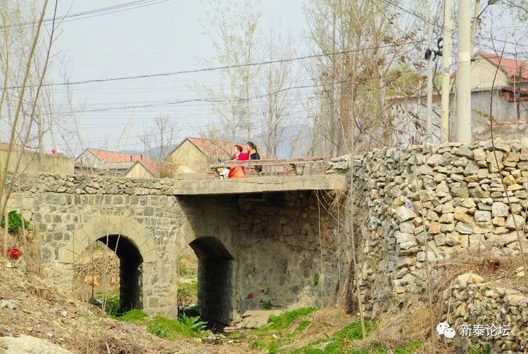 《新泰市村落地名志》放城镇涝坡村_长山