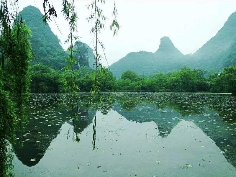 經典誦讀 | 濟南第三十四中學劉博涵:《破陣子·春景》