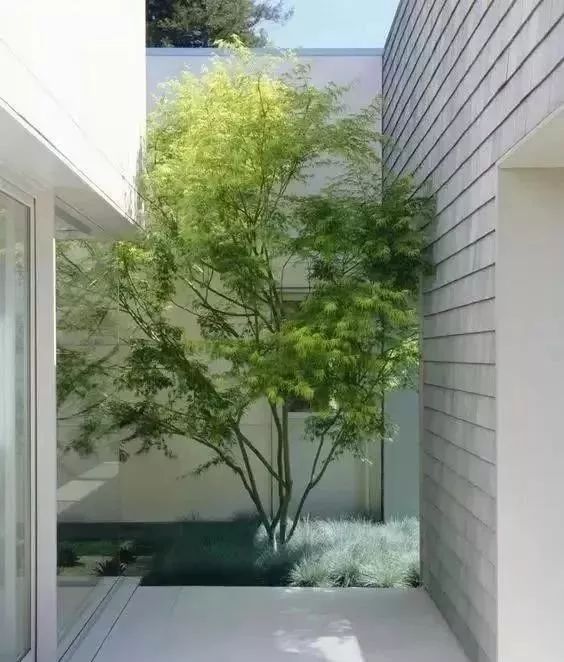 御梵景观:有一种天井叫花园----100款天井花园,准有一款适合您_设计