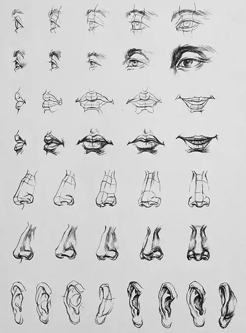 速写头像】///先用长直线画出头像的大体位置,把五官的位置先大体的标