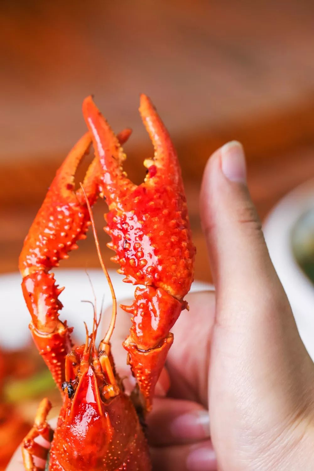 1折!龙虾界的型男: 就藏在科大边上的人气夜宵场!