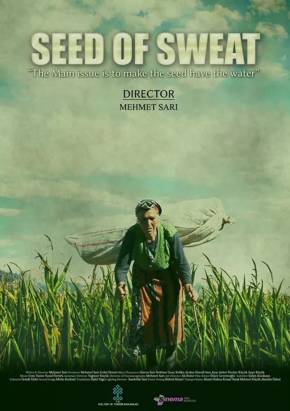 第四届金树节入围影片大地之女母亲用一生的努力向生活致敬