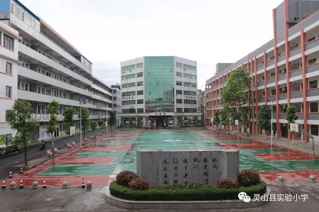 放榜啦灵山县实验小学2019年学前班一年级新生录取名单