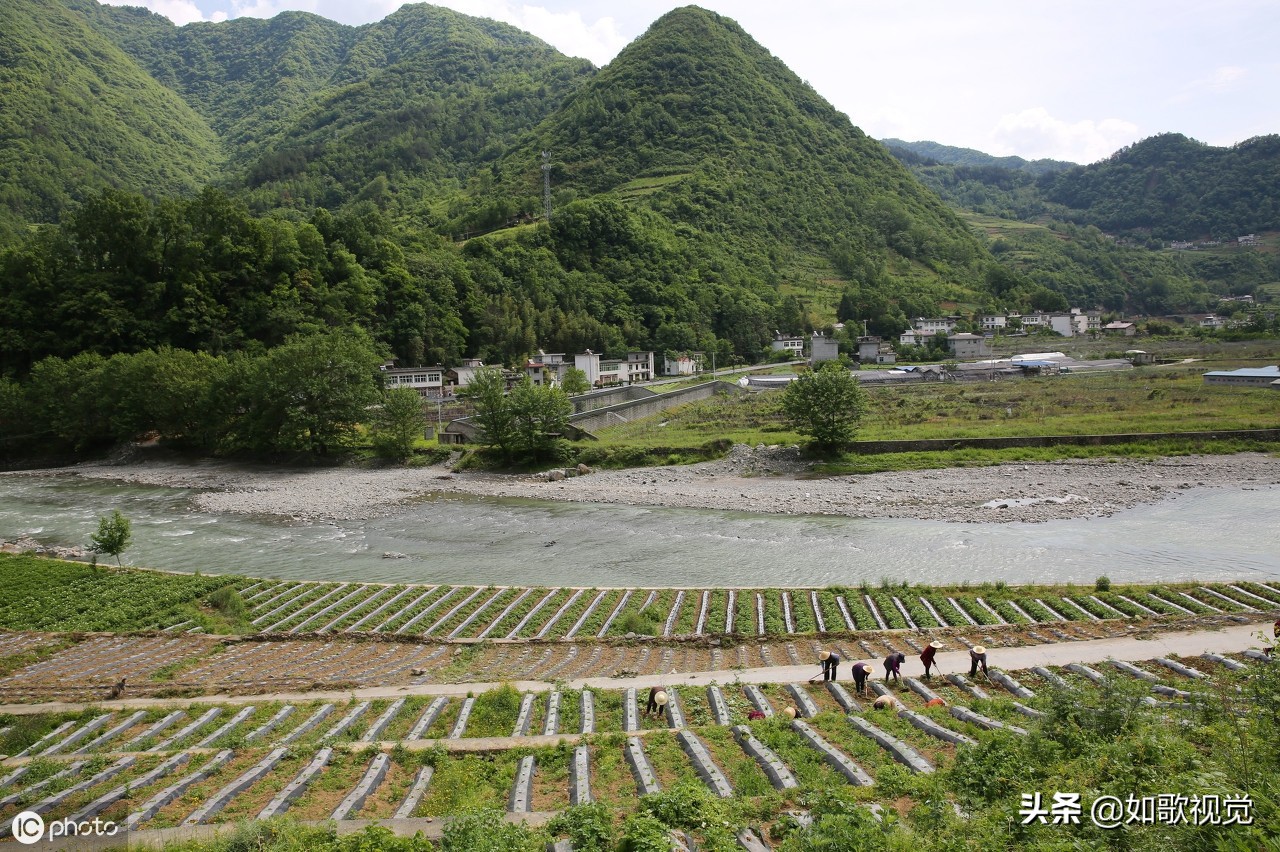 1/3陝西省安康市嵐皋縣孟石嶺鎮桃園村,位於鬱鬱蔥蔥,人跡罕至的深山