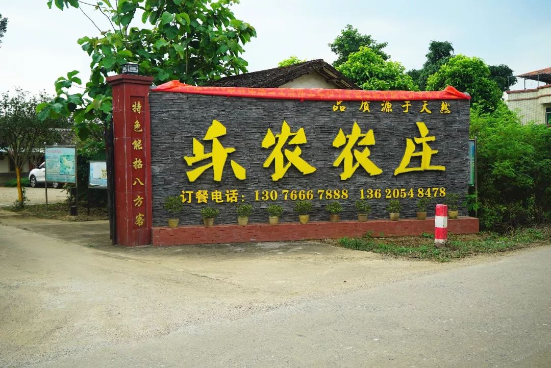 英德这家农庄用一只鸡勾走我的魂.