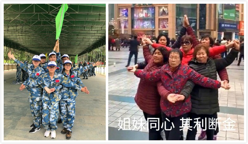 蔚壹科技2019年中拓展训练营完美收官