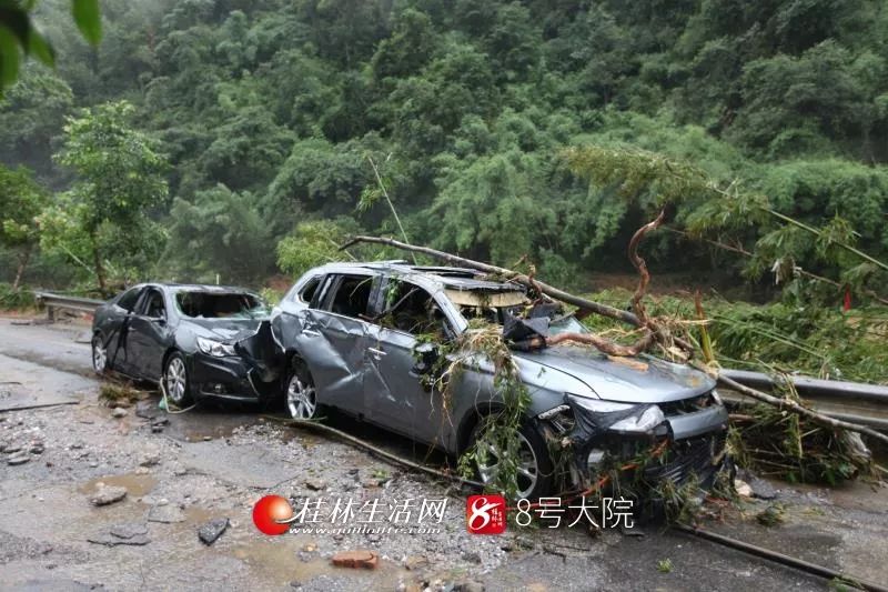 桂林九屋黄梅山庄图片