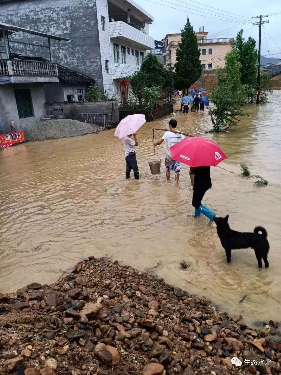 南平中北部和寧德西北部