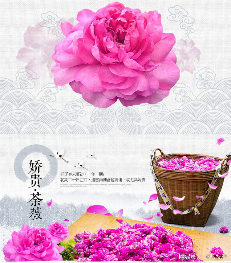 荼薇酒—— 文人雅士的钟情之选