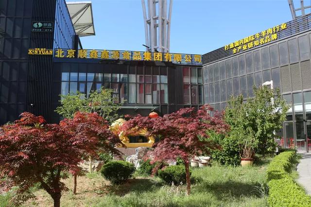 顺鑫鑫源征集广告语,寻找才华横溢的你