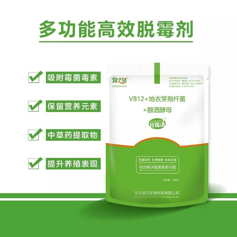 母猪脱霉剂：守护养猪行业健康发展的新希望