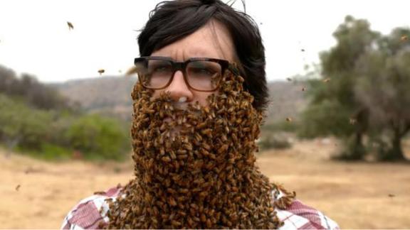 下巴有 10000 个蜜蜂:密集恐惧症者勿看