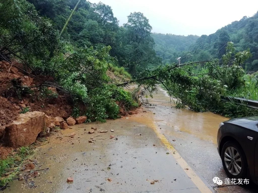 保畅通莲花县交通公路部门全员上路全力以赴