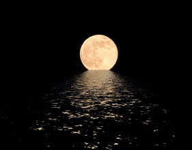 Ϸ΢ʧʫΨж춹