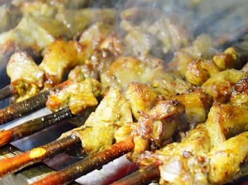 从宁夏到上蔡跨越1000多公里红柳枝滩羊烧烤火啦