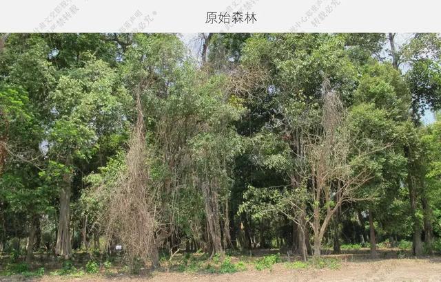 影片飞跃部落格巴色拍摄场景照发布