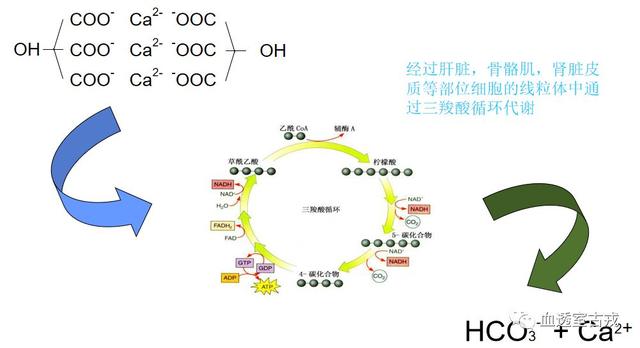 枸櫞酸鈉抗凝劑在血液淨化中的應用