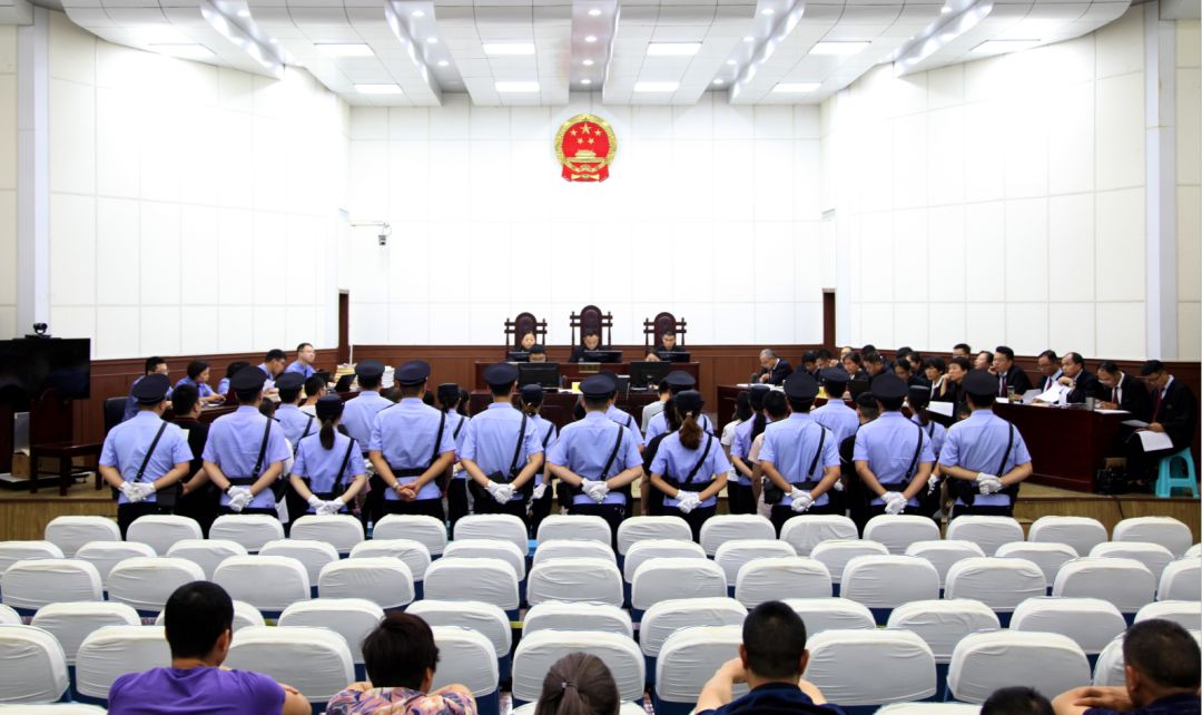 安阳"校园贷"36人涉黑团伙受审_被告人