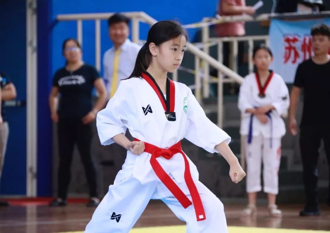 校园动态8金6银9铜湘城小学跆拳道再创佳绩