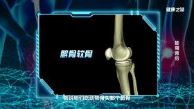 老年人的膝盖问题怎么办?_髌骨