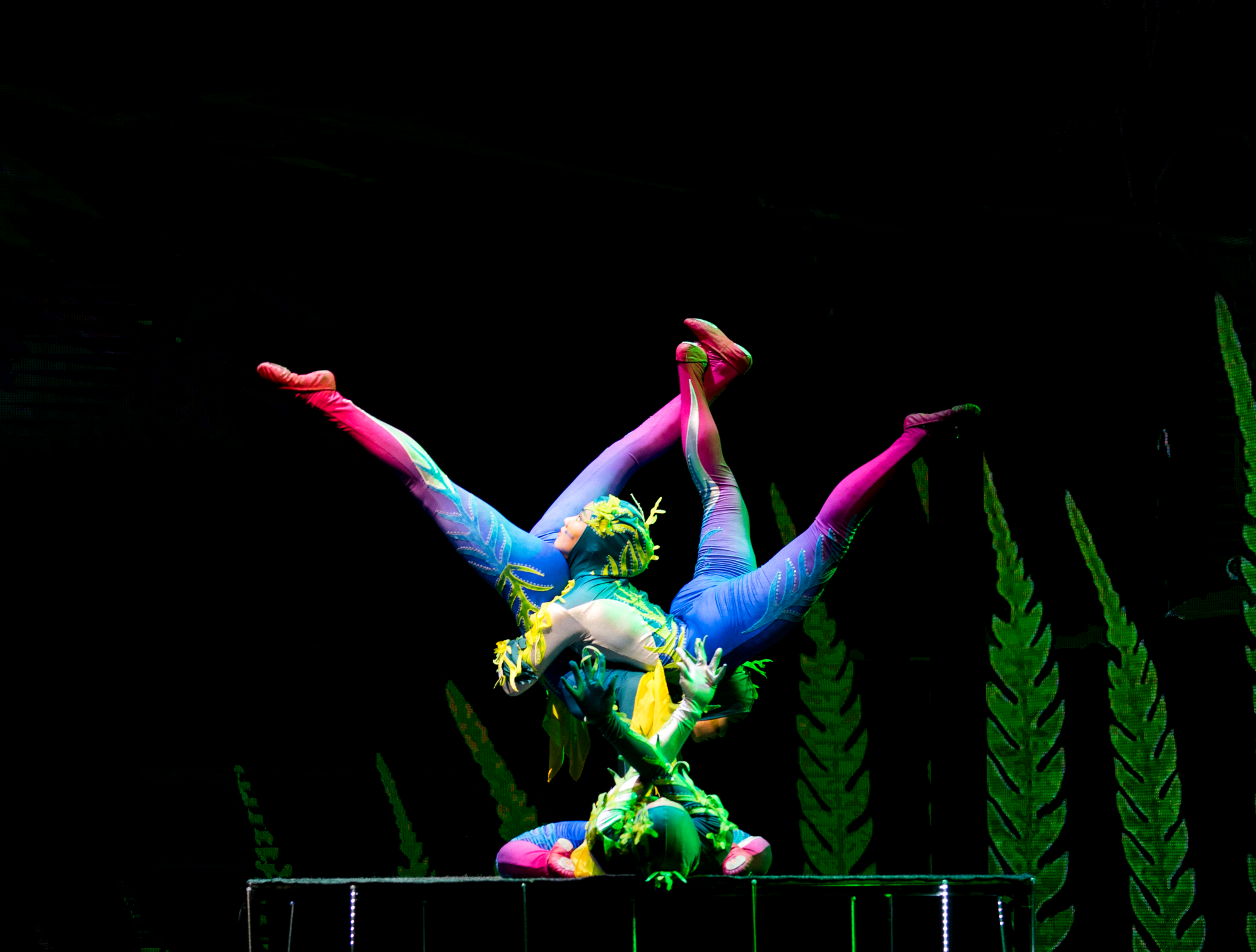 大型3d儿童杂技剧《恐龙馆奇妙夜》公演成功 刘艺伟导演畅谈创作观