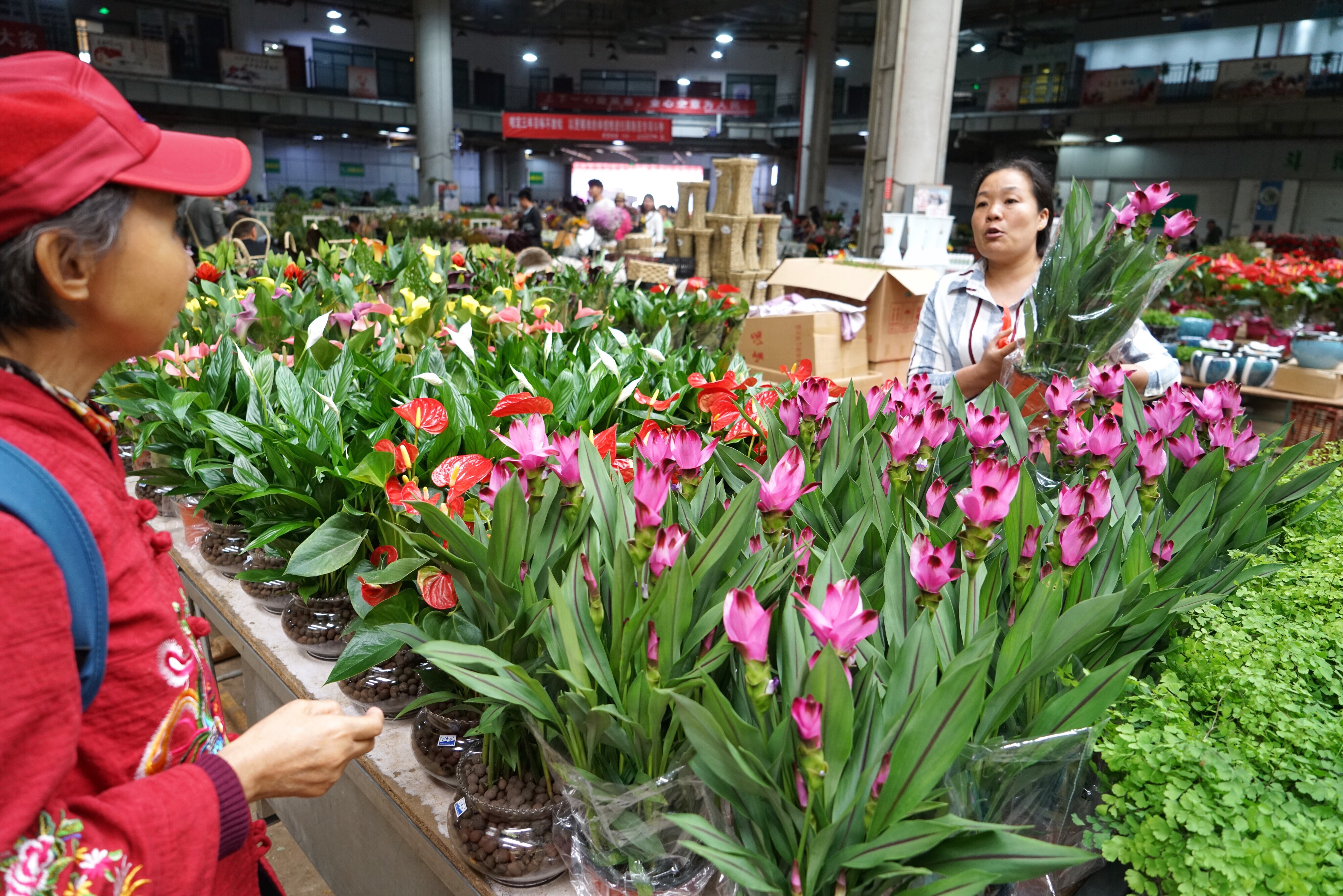 7月9日,市民在昆明斗南花卉市场内买花