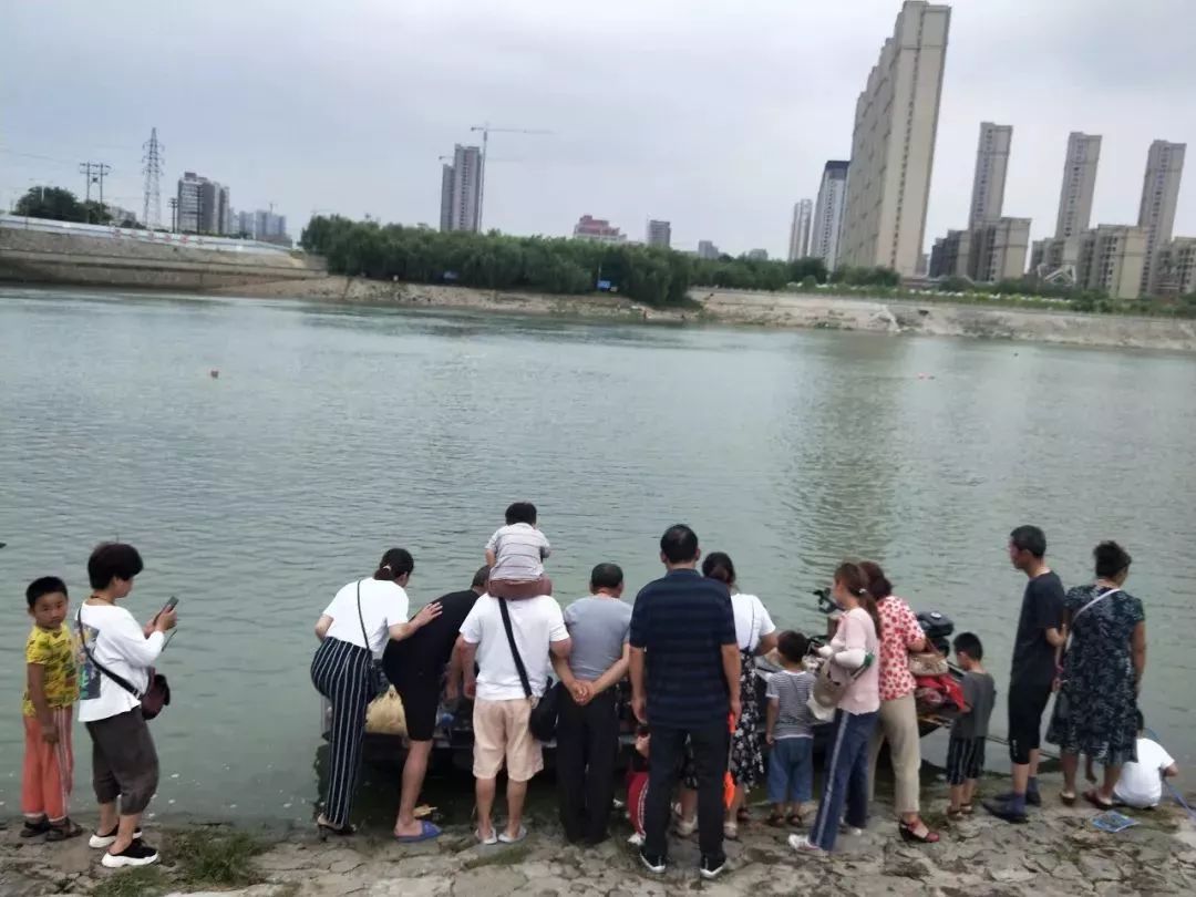 光著膀子正準備下河呢再瞅瞅水裡你沒看錯那些露個頭的都是游泳的人小