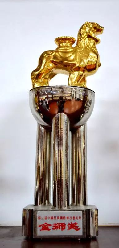 在河北举办的吴桥国际杂技比赛中一举夺得最高奖项——金狮奖