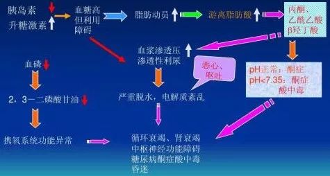 糖尿病急性併發症遠比你想的更嚴重快速瞭解一下