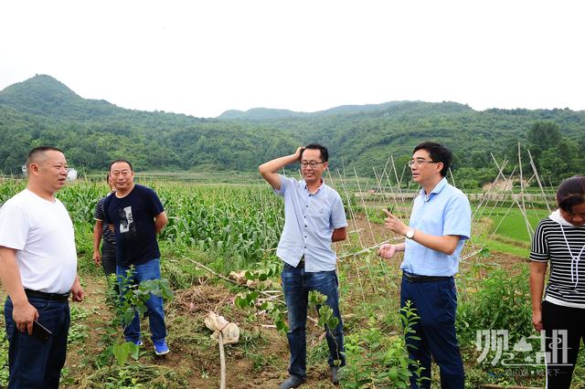 朱昌镇的好班长脱贫路上的急先锋记贵阳市脱贫攻坚优秀党务工作者观山