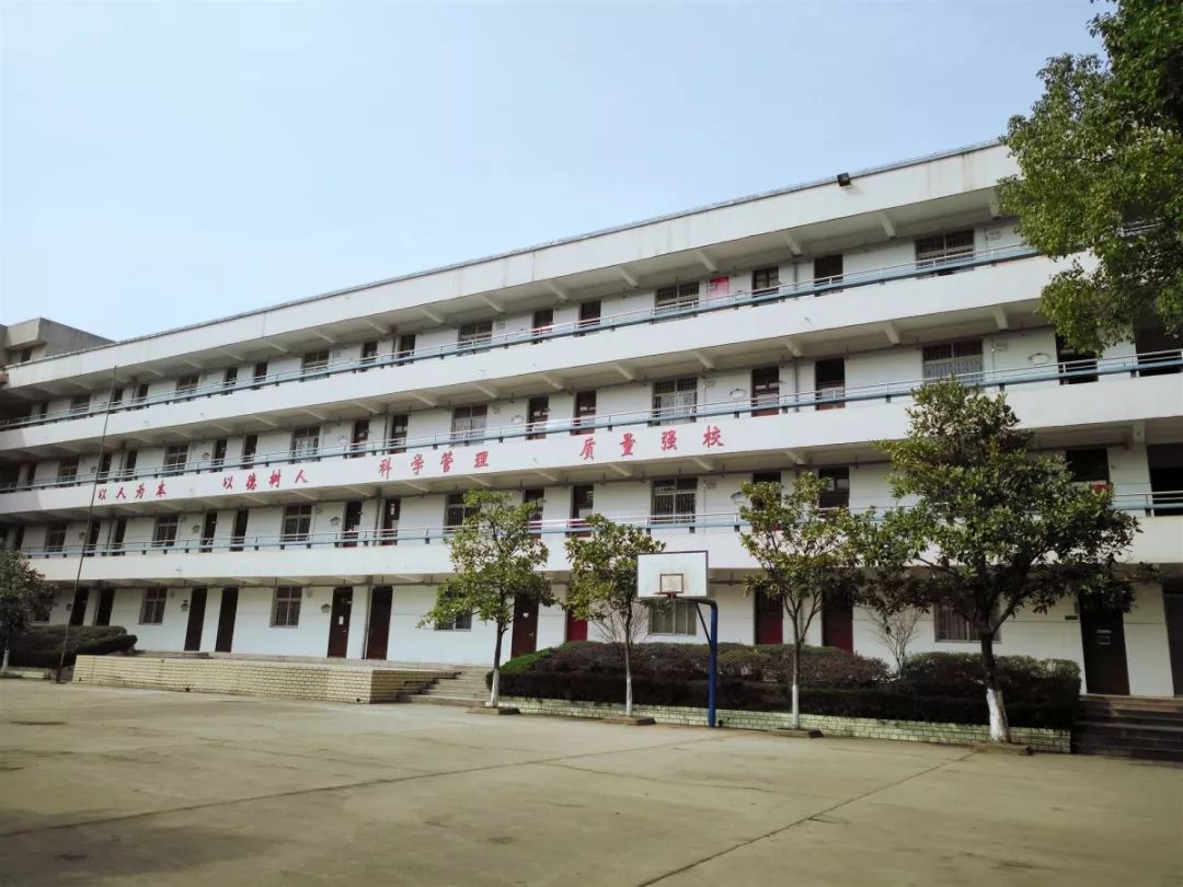 汉阳二中的老同学你们在哪我们开始寻亲了