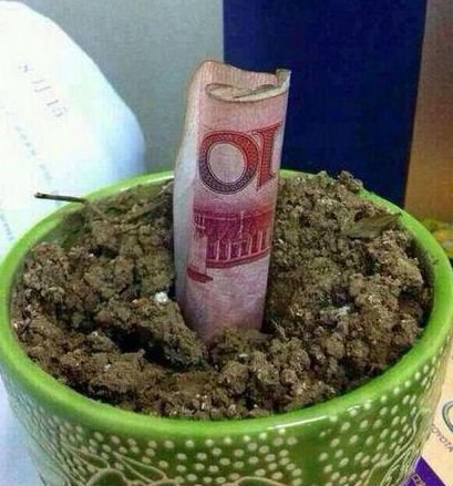 搞笑gif:便秘其实是一种休闲方式 !