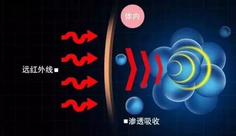 的健身裤 它含有独特的矿物添加纤维 远红外纤维的光波传递到皮肤深层