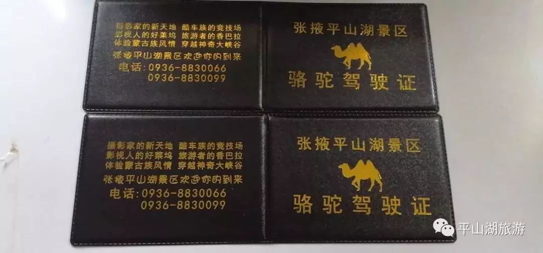平山湖景区可以考骆驼驾驶证啦