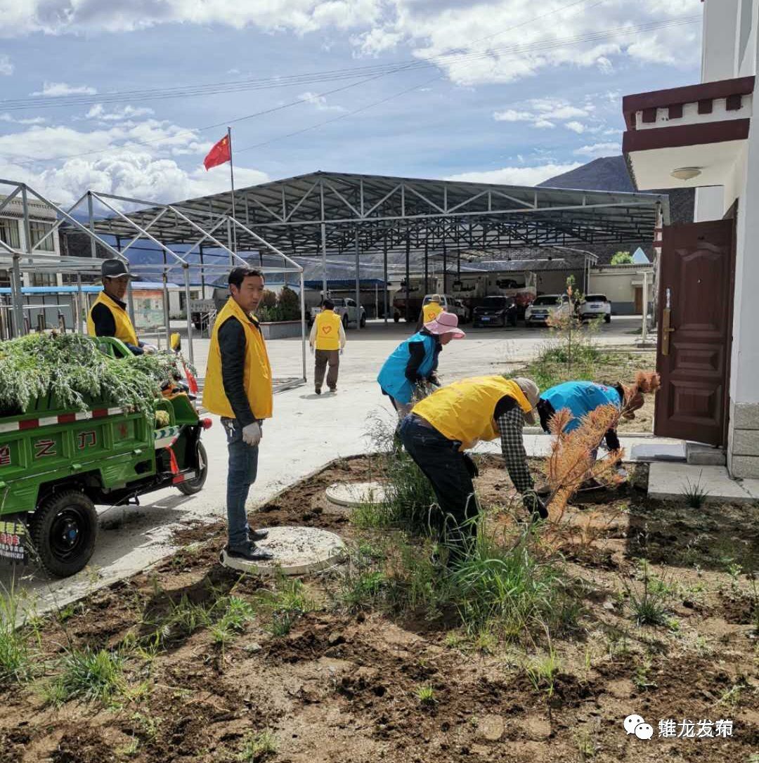 "携手创卫人人有责 美好环境个个受益—古荣乡开展环境整治,垃圾