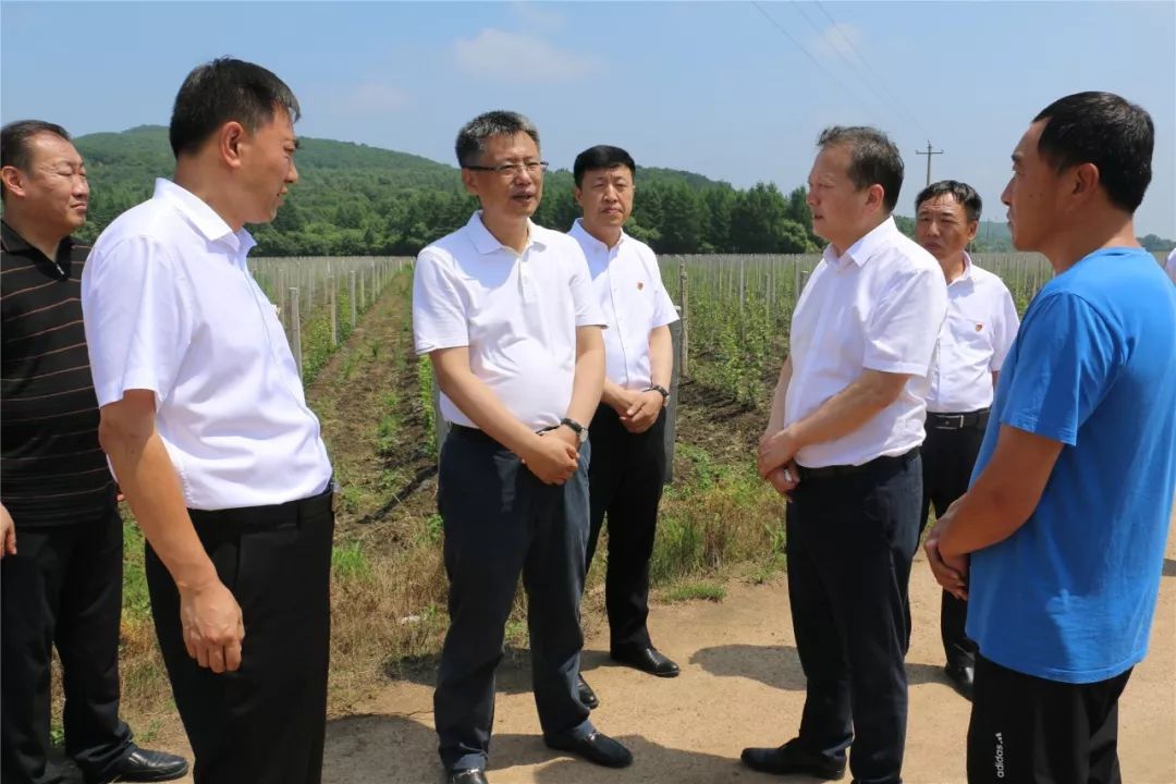 张旭东在桦南清河局调研时强调在守初心担使命实践中推进林区各项事业
