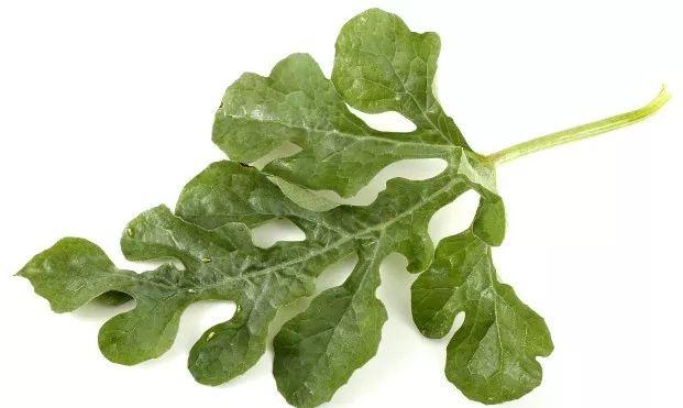 世园会百蔬园丨百种时令蔬菜西瓜三十三