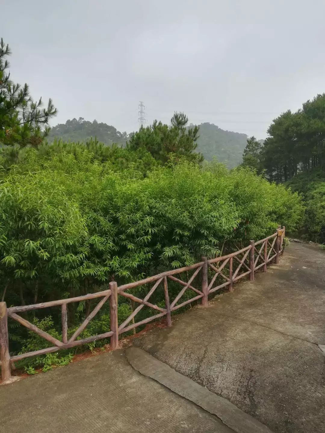 7月14日泰康山亲子徒步野炊,水上趣味运动会嗨翻天!
