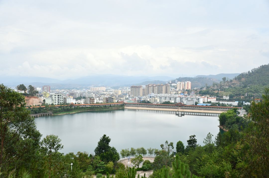 滇中水城菌乡易门丨第十五届中国云南野生食用菌交易会组委会办公室