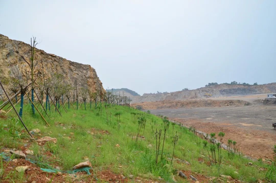 有限公司梅子山矿作为砂石骨料矿山,在绿色矿山建设中也是规划先行