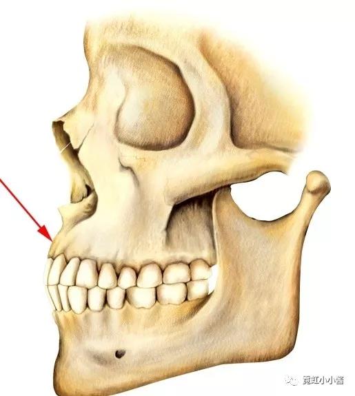 泫雅这颜值算是崩到没谁了吧厚嘴唇高颧骨就没出路了吗