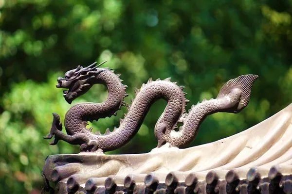 龙是神话还是曾经真实的存在