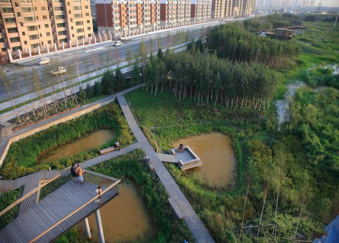 城市小型人工湿地公园案例研究